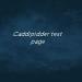 Caddipidder_Test_Page