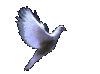 Eve4Peace