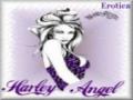 HarleyAngel