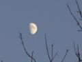 MoondustSky