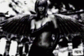 Phoenix71