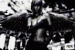 Phoenix71