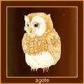 agote