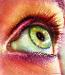 brighteyes