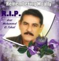moally