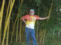 stevej1