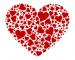 yashwant